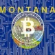 montanabtcwibsite-80x80